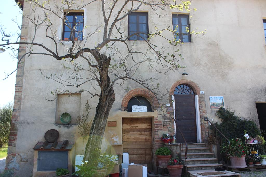 Bio Agriturismo Podere Pretoia 圣吉米纳诺 外观 照片