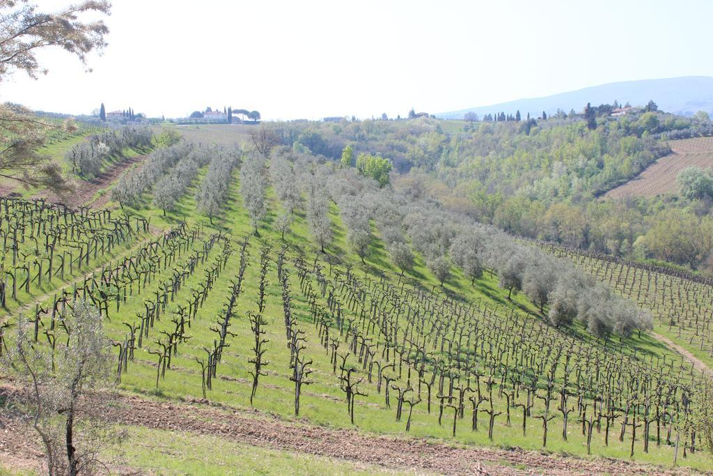 Bio Agriturismo Podere Pretoia 圣吉米纳诺 外观 照片