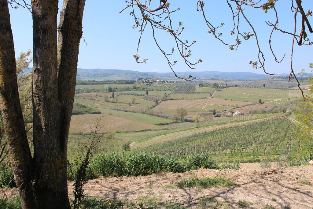 Bio Agriturismo Podere Pretoia 圣吉米纳诺 外观 照片